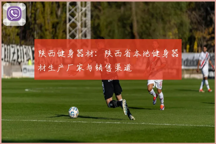 陕西健身器材：陕西省本地健身器材生产厂家与销售渠道