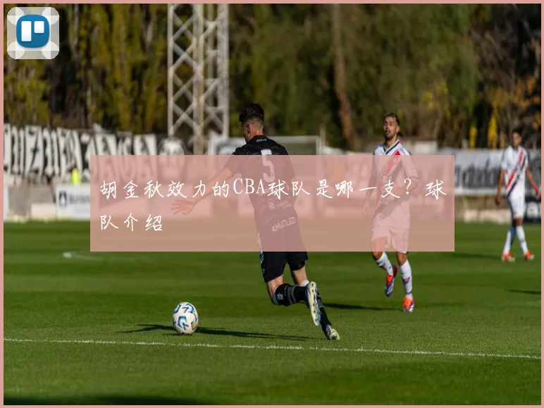 胡金秋效力的CBA球队是哪一支?球队介绍